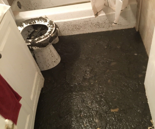Toilet Backup Sewage Overflow