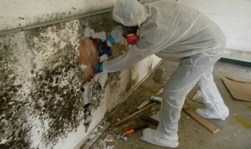 Mold Testing in Valparaiso, FL (1275)