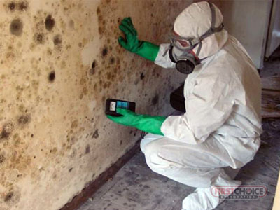 Mold Cleanup in Mary Esther, FL (8685)