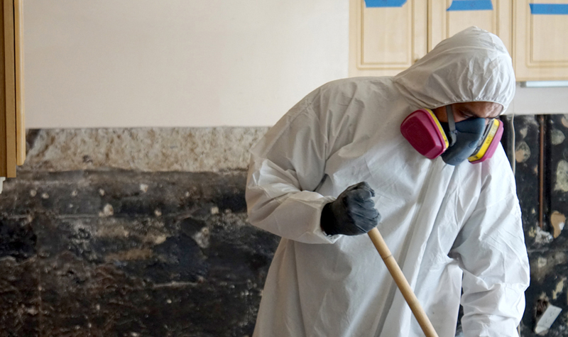 Mold Removal in Niceville, FL (6074)