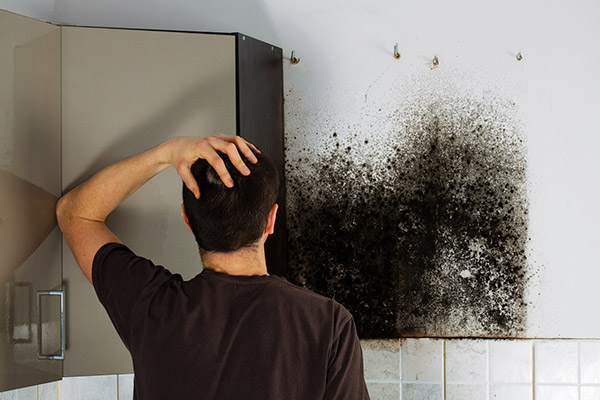 Mold Cleanup in Freeport, FL (8782)