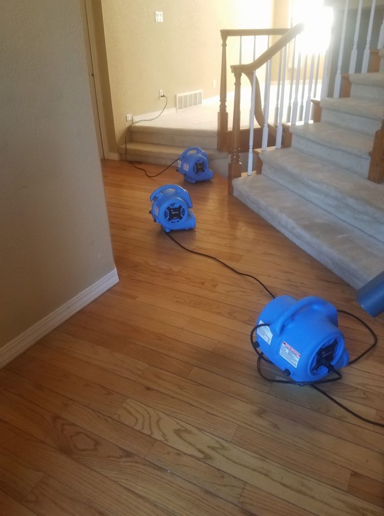 Water Damage Restoration in Mary Esther, FL (6134)